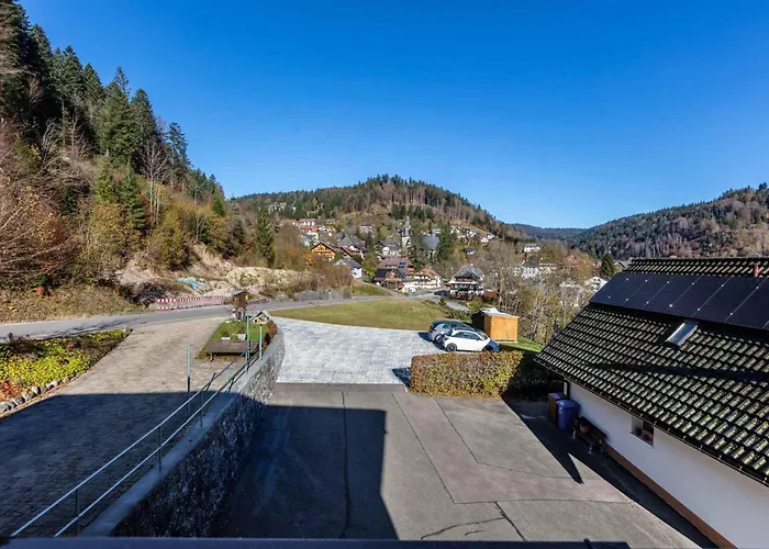 4 Lägenhet Todtmoos